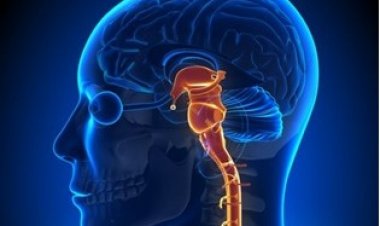 How Do You Fight Epilepsy When You're Alone? - Dr. Sawhney's perspective.