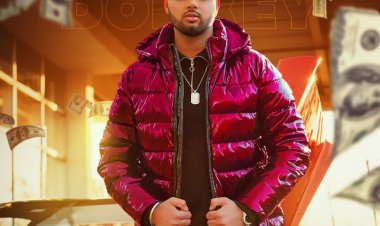 Donkey song by RSingh