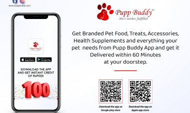 TREAT AND LOAD YOUR LITTLE PETS WITH AN ABUNDANCE OF UNCONDITIONAL LOVE WITH PUPP BUDDY