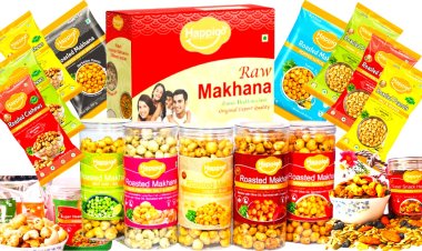 HAPPIGO: FROM VISION TO VICTORY